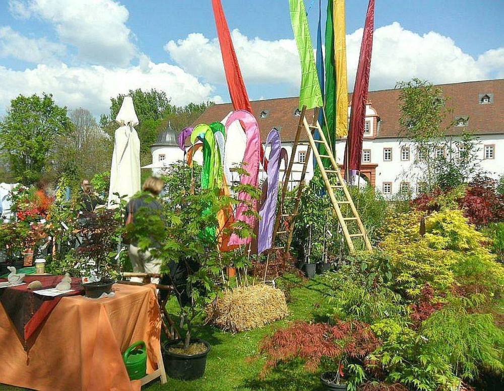 Unser Stand auf einem Gartenmarkt. Bambus-Baumschule Darmstadt. Spezialgärtnerei Ulrich Willumeit. Baumschule Darmstadt Eberstadt