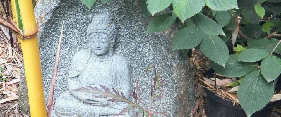 Buddha Stein. Bambus-Baumschule Darmstadt. Spezialgärtnerei Ulrich Willumeit. Baumschule Darmstadt Eberstadt